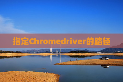 指定Chromedriver的路径